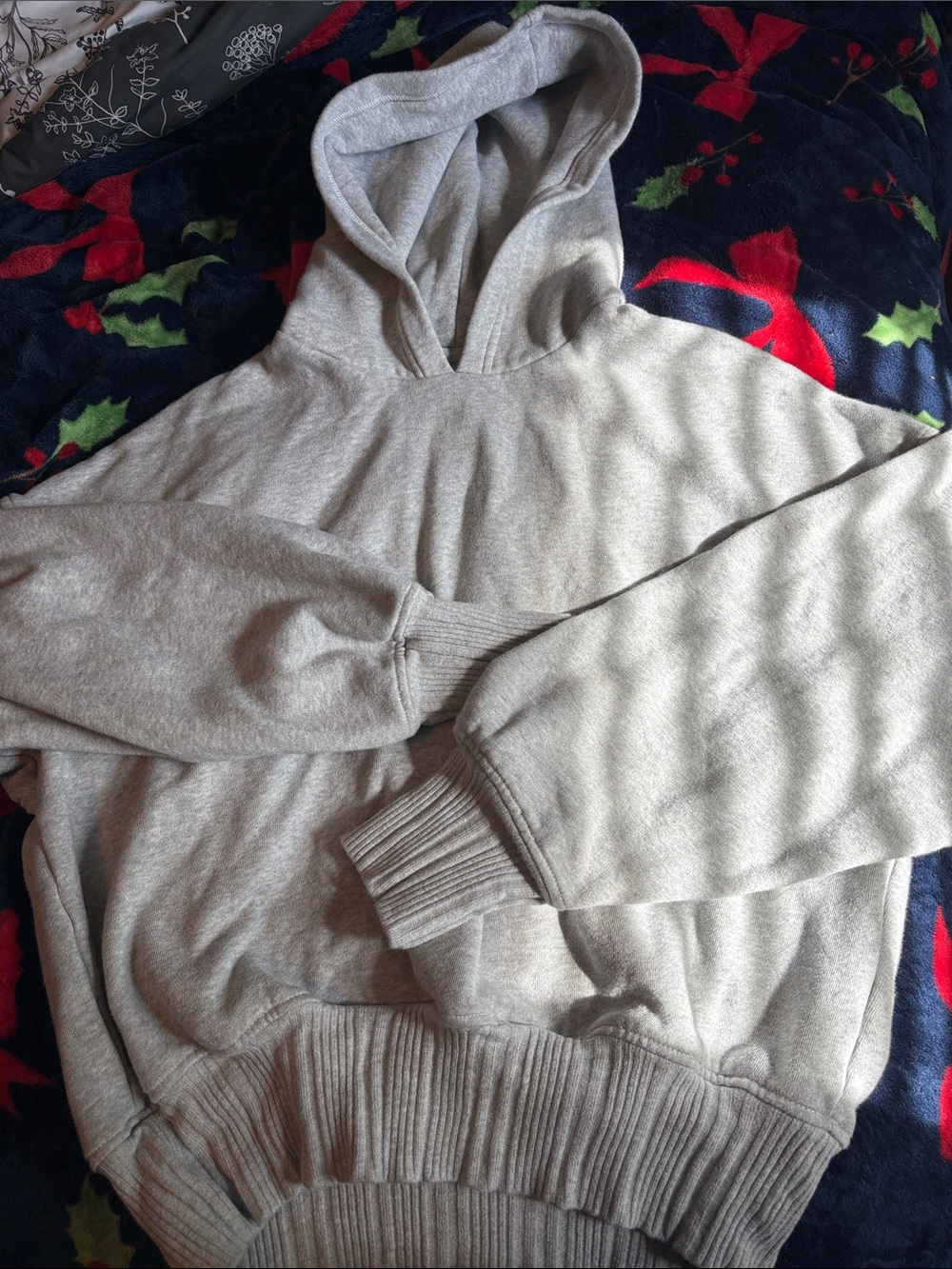 aerie Light Gray Hooded Sweatshirt
